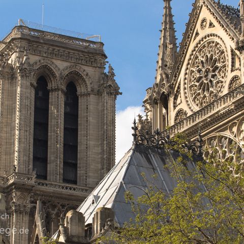 Paris 002 Notre Dame de Paris, Ile de la Cité, Paris, Frankreich, France