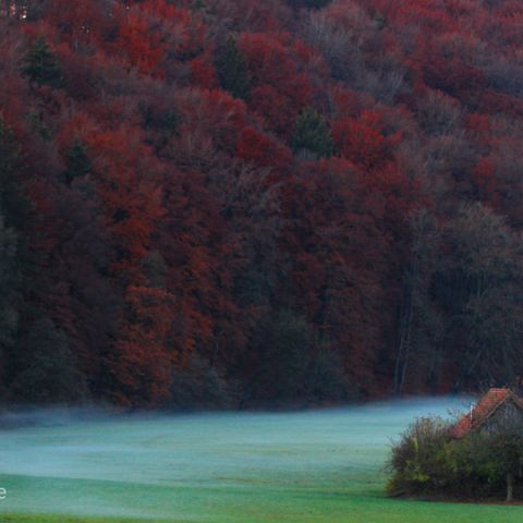 Panorama 16x9 009 Herbstfärbung des Buchenwaldes mit aufziehendem Nebel im Altmühltal bei Sonthofen
