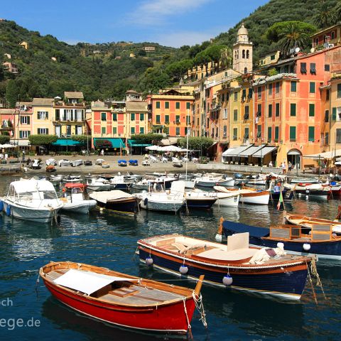 Portofino 002 Hafen, Portofino, Ligurien, Liguria, Italien, Italia, Italy