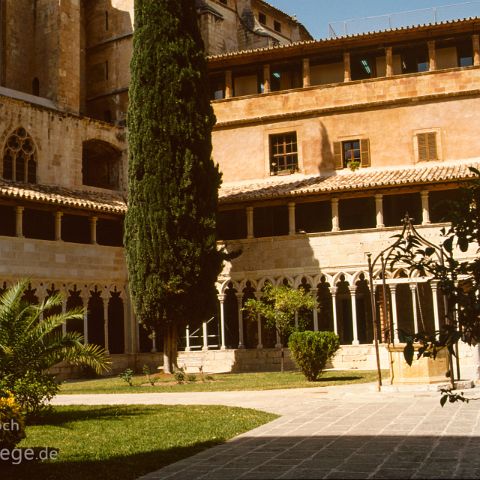Mallorca 007 Kloster Sant Francesc, Mallorca, Palma, Spanien, Espana, Spain